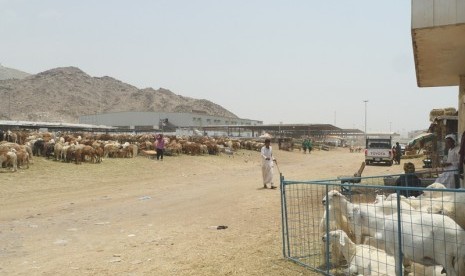 Pasar Hewan Kakiyah salah satu tempat favorit penyembelihan dam. Pembayaran dam dan berqurban tidak saling terkait secara hukum 