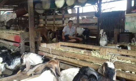 Pasar Kambing di Jalan Sabeni, Tanah Abang, Jakarta Pusat, Rabu (8/8).