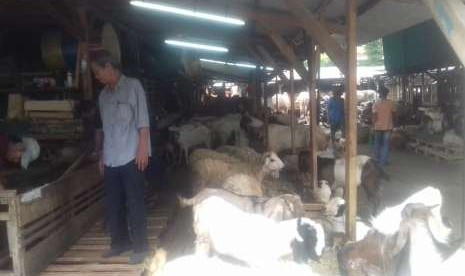 Pasar Kambing di Jalan Sabeni, Tanah Abang, Jakarta Pusat, Rabu (8/8).