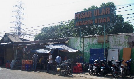 Pasar Ular di Jakarta Utara.