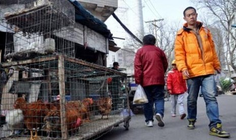 Pasar unggas di Jinan, Provinsi Shandong, Cina.