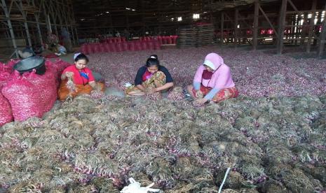 Pasokan bawang merah. 