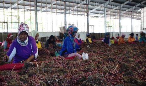 Pasokan cabai dan bawang melimpah. Kebutuhan pokok pangan berupa bumbu dapur cabai dan bawang merah terlihat melimpah di berbagai sudut pasar. 