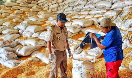 Pasokan Jagung untuk pakan ternak