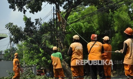  Pasukan oranye menarik pohon yang sudah dipangkas di kawasan Jalan Pejaten, Jakarta, Senin (31/7).