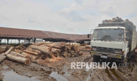 PD. KM perusahaan Saw Mill yang berlokasi di Jl Warung Jaud No 8 Kecamatan Kasemen, Kota Serang, Provinsi Banten diduga melakukan aktivitas illegal logging.