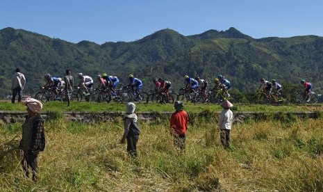 Pembalap melewati persawahan pada Tour de Flores 2016. 