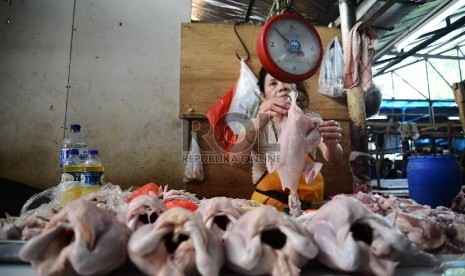 Pedagang ayam menunjukan ayam dagangannya di Pasar Senen, Jakarta Pusat, Rabu (21/1).  ( Republika/Raisan Al Farisi)