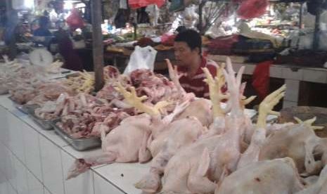 Pedagang ayam potong di Pasar Lenteng, Jakarta Selatan, sedang menghitung uang di tangannya, Jumat (7/9).