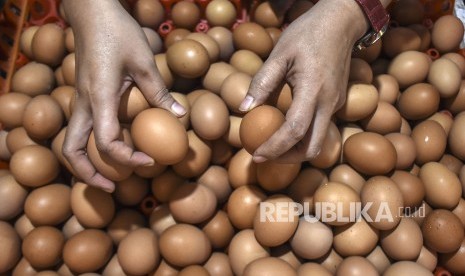 Polres Depok membagikan 7 ton telur untuk korban banjir. Foto telur ayam (ilustrasi)