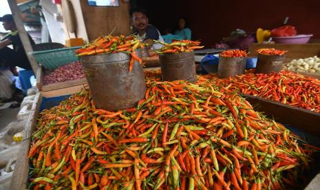 Pedagang cabai rawit menunggu pembeli di Pasar Manonda di Palu, Sulawesi Tengah, Selasa (22/3/2022). Harga Cabai di Palu Masih Tinggi, Rp 70 Ribu per Kg