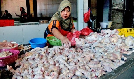 Pedagang daging ayam menata dagangannya.