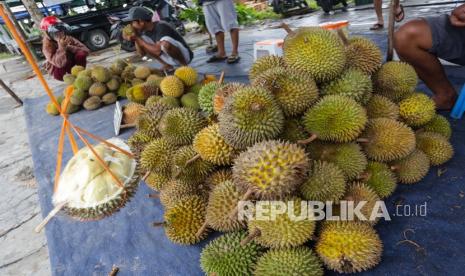 Pedagang melayani pembeli buah durian Kasongan yang di jual di Jalan Diponegoro, Palangkaraya, Kalimantan Tengah. Buah durian unggulan khas Kalimantan Tengah yang dipetik pada puncak musim panen serentak di daerah Kasongan, Kabupaten Katingan tersebut kemudian dijual ke sejumlah wilayah Kalteng dengan harga Rp20 ribu hingga Rp120 ribu per buah tergantung ukurannya.