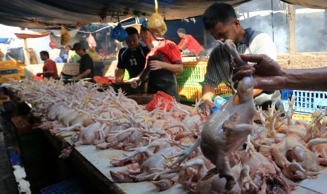 Pedagang melayani pembeli daging ayam potong di Pasar Ulee Kareng, Kota Banda Aceh, Provinsi Aceh, Ahad (1/5/2022). 