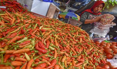 Kenaikan harga cabai rawit menjadi penyumbang inflasi di Jatim. Foto, pedagang membungkus cabai rawit yang dijualnya di pasar (ilutrasi) 