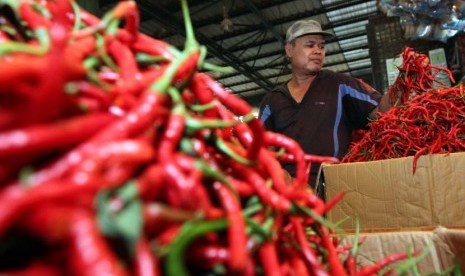 Pedagang memeriksa cabai di Pasar Induk Kramat Jati, Jakarta, Selasa (6/5). 