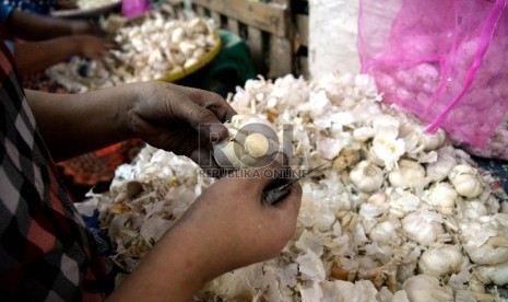 Pedagang memilah bawang putih impor di Pasar Induk Kramat Jati , Jakarta, Kamis (23/4). (prayogi/Republika).