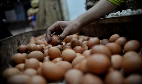 Pedagang memilah telur di gerainya di pasar tradisional Pasar Minggu, Jakarta.