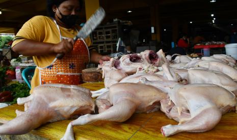 Pedagang memotong ayam potong jualannya (ilustrasi). Harga ayam potong di Semarang saat ini mencapai harga tertinggi yaitu Rp 35 ribu per kilogram.