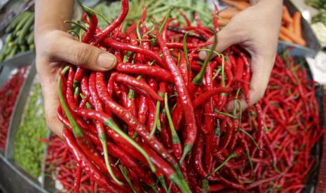 Petani Ungkap Mengapa Harga Cabai Mahal (ilustrasi).