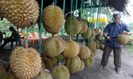 Durian. ilustrasi