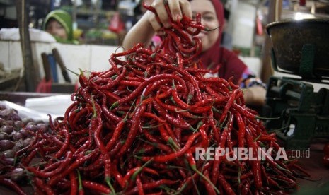 Pedagang menata cabai dagangannya di Pasar 