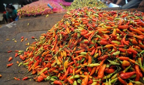 Pedagang menata cabai rawit merah di pasar induk Kramat Jati, Jakarta, Selasa (18/2).