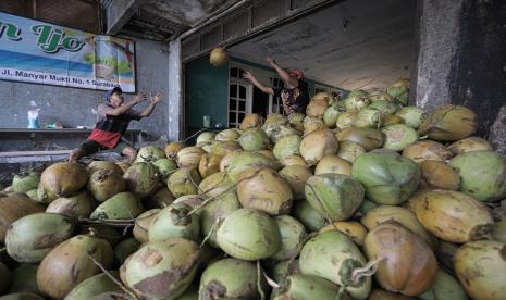 Kelapa (ilustrasi).