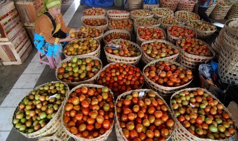 Pedagang menata tomat di Subterminal Agribisnis Bandungan, Semarang, Jawa Tengah, Kamis (17/3).