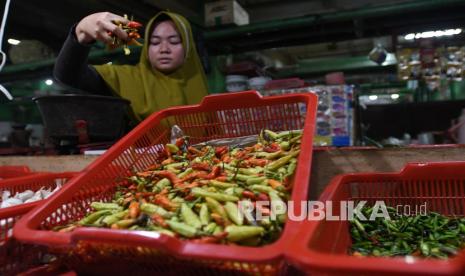 Pedagang mengambil cabai rawit merah yang dibeli pelanggannya (ilustrasi).