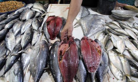 Harga Ikan laut di Pasar Tradisional Sukabumi Naik (ilustrasi).