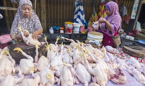 Pedagang menyiapkan ayam yang dijualnya di Pasar Kodim, Kota Pekanbaru, Riau, Jumat (25/5). 