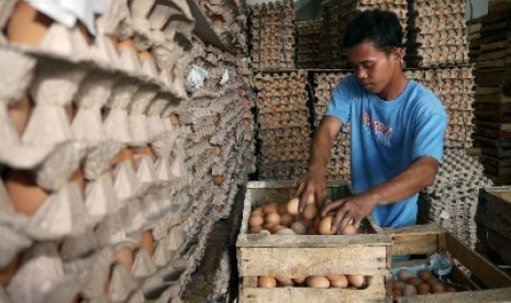 Pedagang menyortir telur ayam di pasar (ilustrasi).