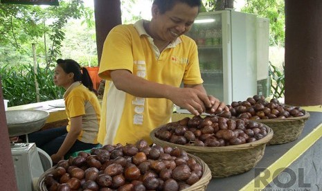 Pedagang Salak