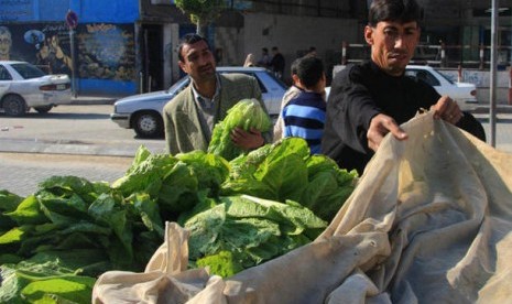 Pedagang sayur di Gaza. Warga Palestina Keluhkan Harga Bahan Makanan di Jalur Gaza Melonjak