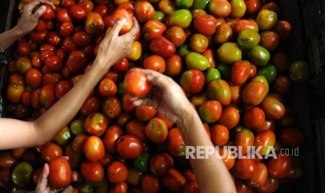  Pedagang sedang memilah tomat di pasar tradisional, Jakarta, Jumat (15/4).   (Republika/Tahta Aidilla)