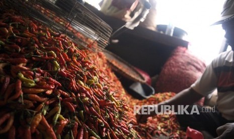  Pedagang sedang memiliah cabai rawit merah di pasar tradisional, Jakarta, Senin (2\1). 