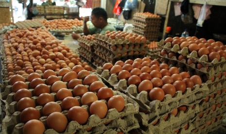 Pedagang telur ayam ras menunggu pembeli di Pasar Pabaeng-Baeng, Makassar, Sulawesi Selatan. Badan Pangan Nasional (NFA) menyatakan siap melakukan operasi pasar telur ayam jika harga dalam pekan ini tidak turun. NFA berharap harga telur ayam dapat turun kurang dari dua pekan seperti yang ditargetkan Presiden Joko Widodo.