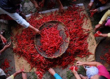 Pedagang cabai di Pasar Induk Kramat Djati