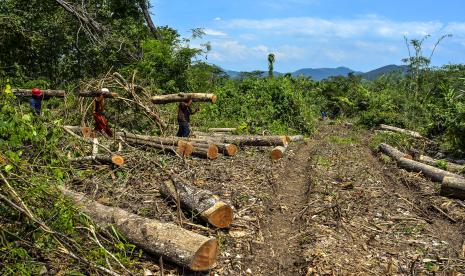 Pegawai mitra Perhutani mengangkut kayu bundar jati di Resort Pemangkuan Hutan (RPH) Gadung, Banjar Utara, Jawa Barat. (Ilustrasi)