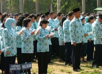 Pegawai Negeri Sipil (PNS).