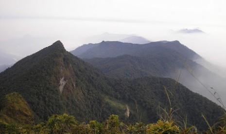 Pegunungan Halau-Halau di Hulu Sungai Tengah, Kalimantan Selatan