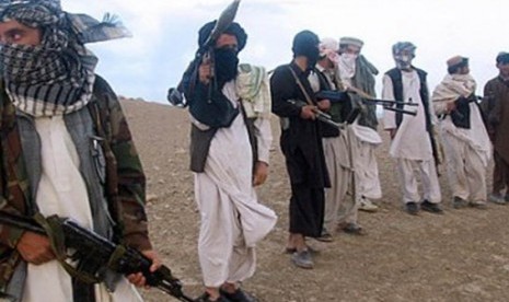 Pejuang Taliban, Afghanistan