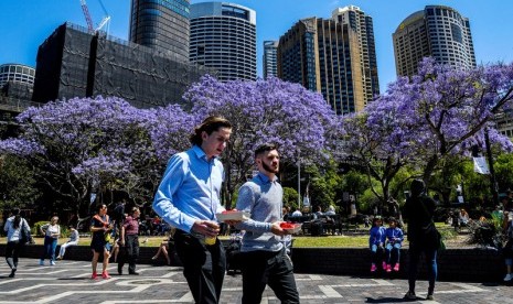 Pekerja dan pejalan kaki saat jam makan di Circulay Quay di bawah cantiknya kanopi pohon jacaranda di Sydney, Australia.