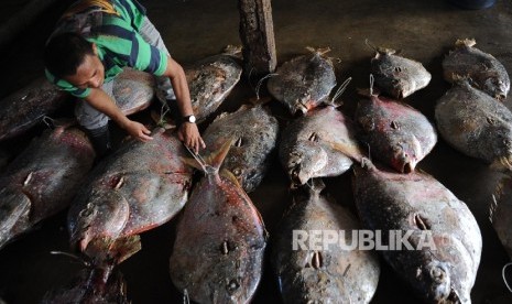  Pekerja melakukan bongkar muat hasil laut di Jakarta, Selasa (5/3).