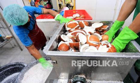 Pekerja melakukan proses parut daging buah kelapa untuk proses pembuatan minyak kelapa murni. Berbeda dengan emak-emak di berbagai kota di Indonesia, mama-mama di Kabupaten Sarmi, Papua, tak merasakan sama sekali gejolak kelangkaan dan kenaikan harga minyak goreng kemasan dalam beberapa bulan terakhir.