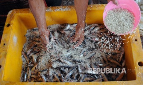 Pekerja melakukan proses penggaraman untuk membuat ikan asin 