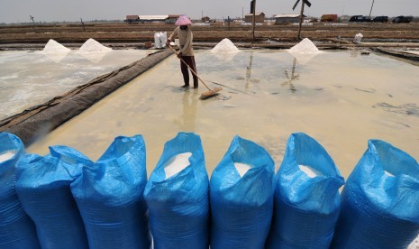 Pekerja memanen garam di tambak dengan sistem Tekhnologi Ulir Filter (TUF) dan pemasangan Geomembran (LDPE) di Desa Kaliwlingi, Brebes, Jawa Tengah, Sabtu (31/10).