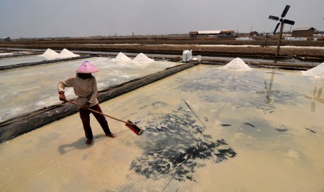 Pekerja memanen garam di tambak dengan sistem Tekhnologi Ulir Filter (TUF) dan pemasangan Geomembran (LDPE) di Desa Kaliwlingi, Brebes, Jawa Tengah, Sabtu (31/10).