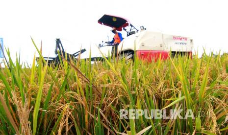 Pupuk Kaltim mempunyai fasiltas produksi memadai. Ilustrasi petani panen